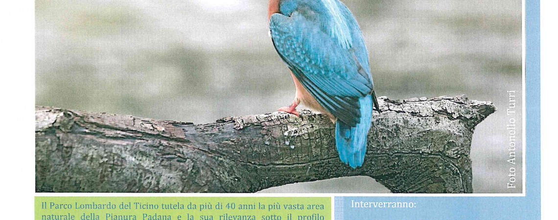 Il primo atlante degli uccelli del Parco del Ticino