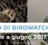 Corso di Birdwatching