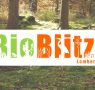 Bioblitz Lombardia 2019