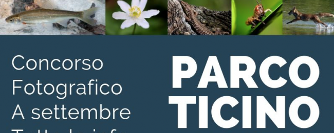 Parco Ticino wild