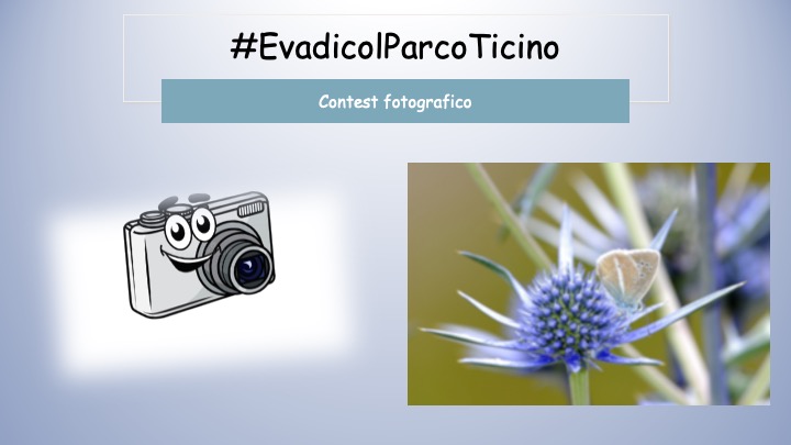 #ParcoTicinointempodiCovid –  Contest fotografico