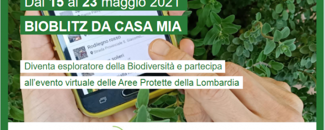 Bioblitz Lombardia 2021