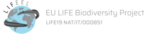 logo LIFEEL