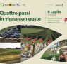 Quattro passi in vigna con gusto
