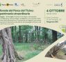 Le foreste del Parco del Ticino: un patrimonio straordinario