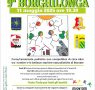 9° Borghilonga