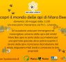 Scopri il mondo delle api di Mara Bee