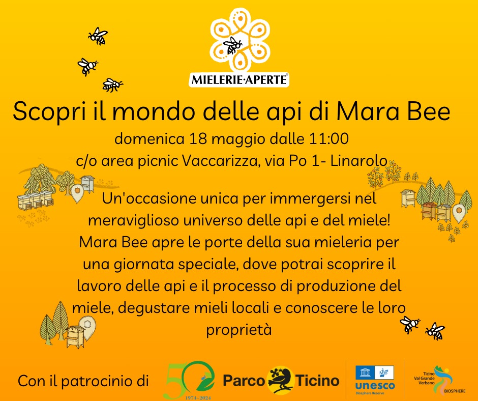 Api Mara Scopri il mondo delle api di Mara Bee - Parco Ticino