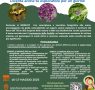 Bioblitz 2025, diventa anche tu esploratore per un giorno!