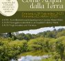 Come acqua dalla terra