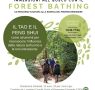 Forest bathing