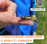 Citizen science, aspettando il Bioblitz