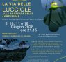 La via delle lucciole