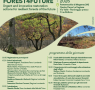 PROGETTO LIFE FOREST4FUTURE: Azioni urgenti per le foreste del domani