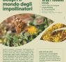 Scopri il mondo degli impollinatori