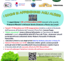 I sogni si appendono agli alberi