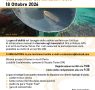 Gara sociale dei cercatori d’oro